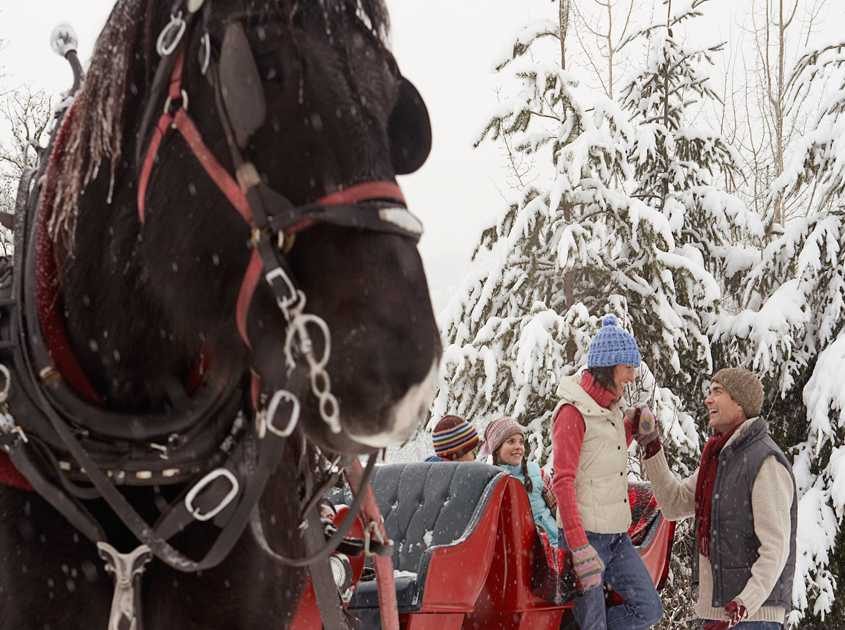 Sleigh rides Breckenridge sleigh rides