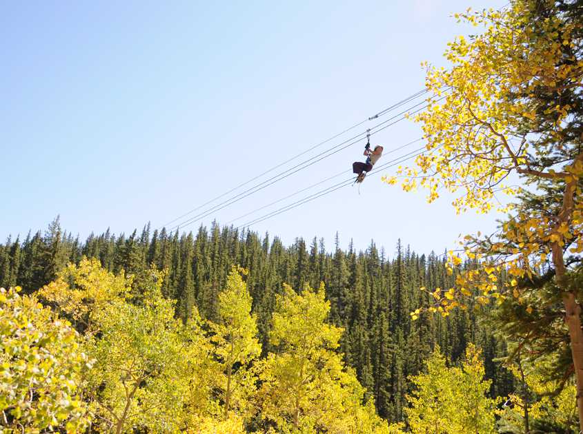 zipling